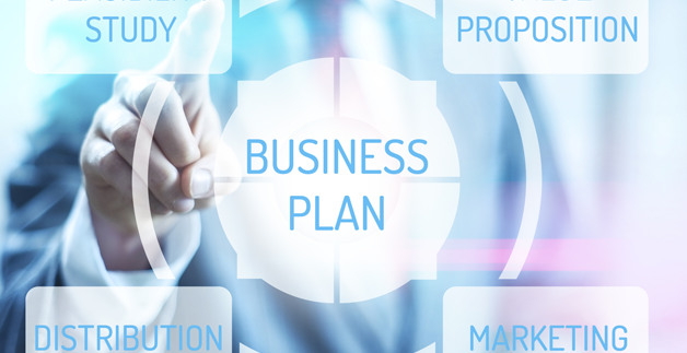 Guidelines for a business plan