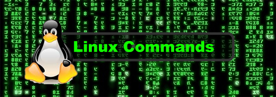 Linux-command-terminal