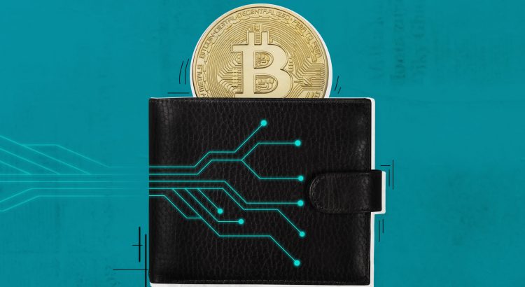 What are the best cryptocurrency wallets?